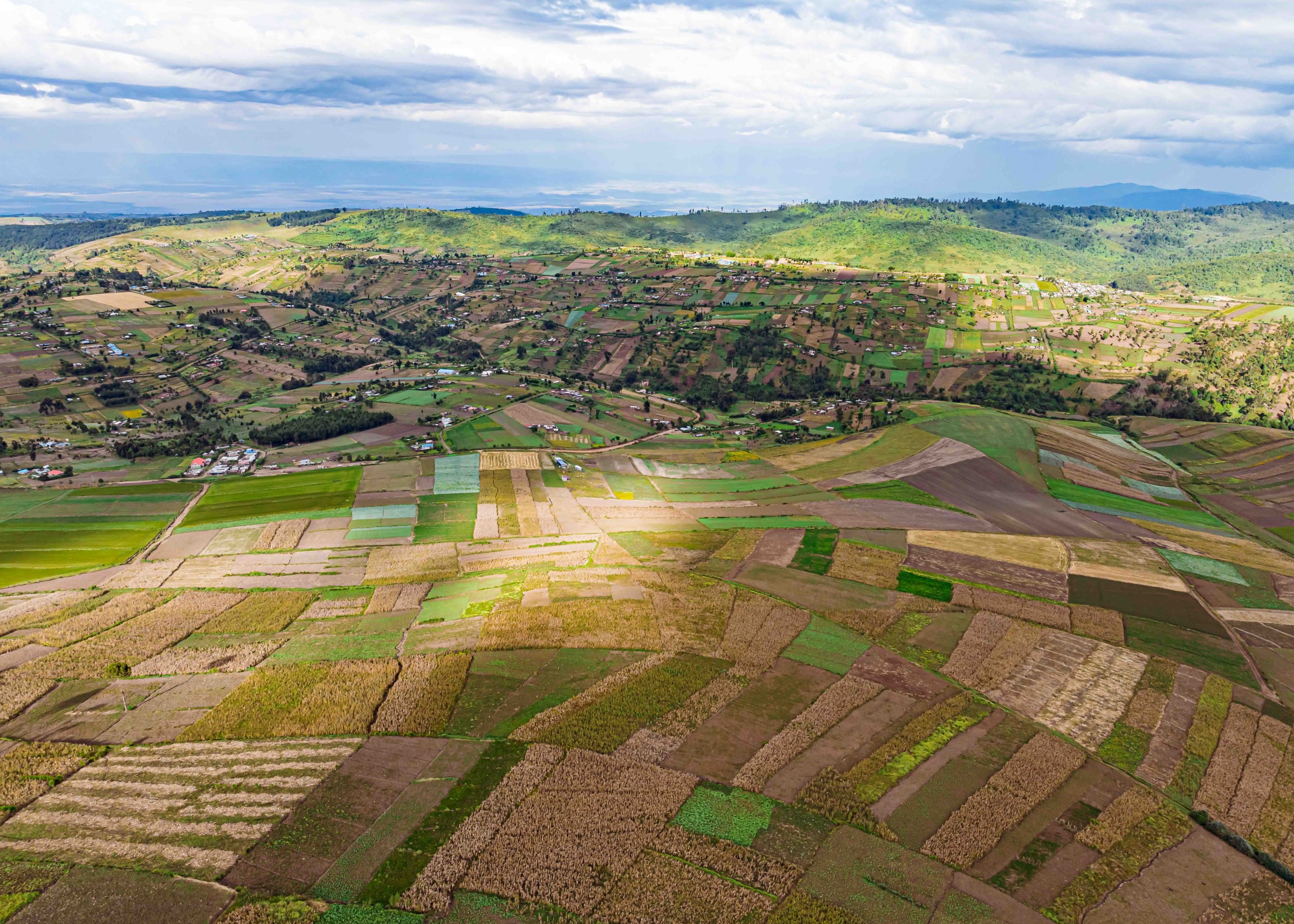 Smallholder Programs · East Africa