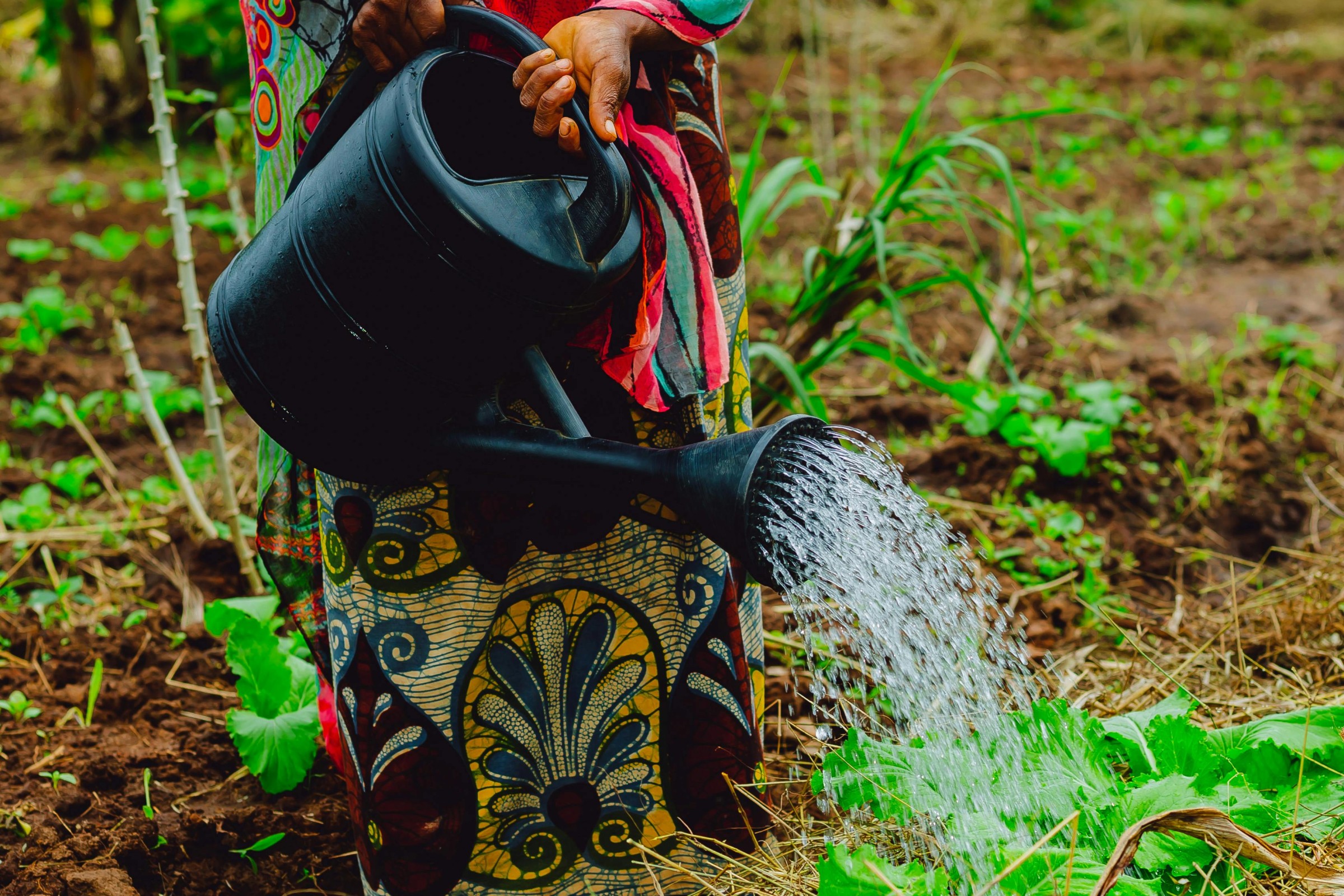 Financing the climate-smart transition in African agriculture