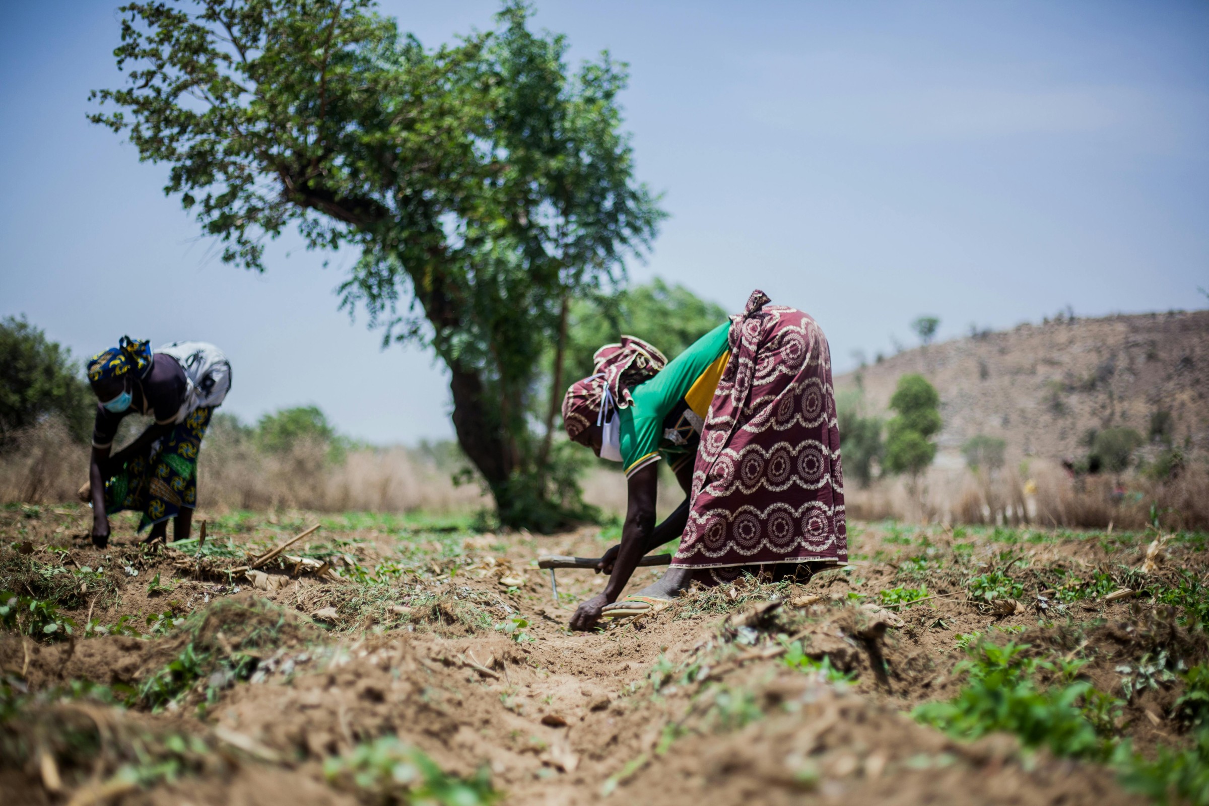 Smallholder Programs · East Africa